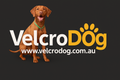 Brown dog standing next to the VelcroDog logo and website on a black background