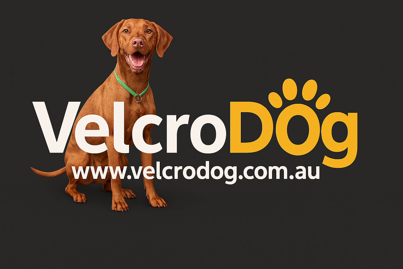 Brown dog standing next to the VelcroDog logo and website on a black background